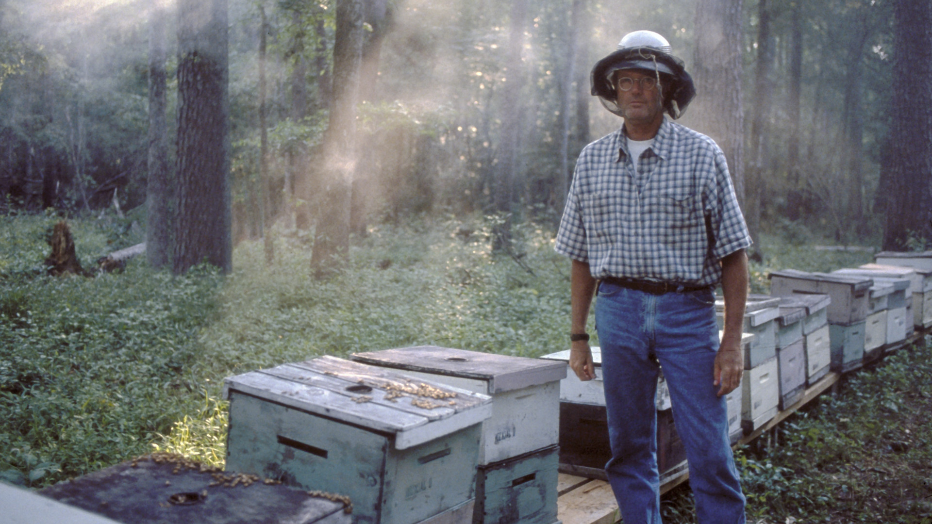 Risultati immagini per ulee's gold